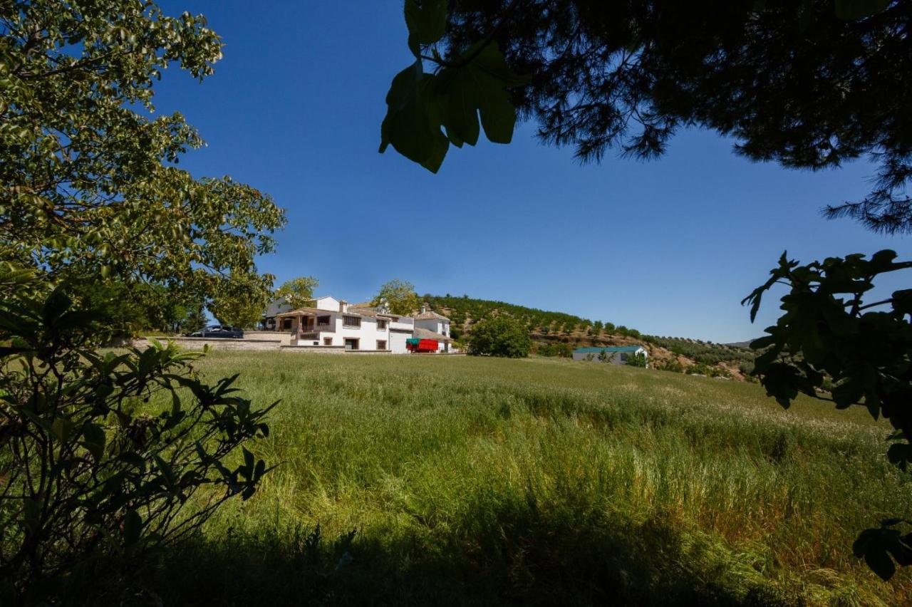 Villa Chopo *