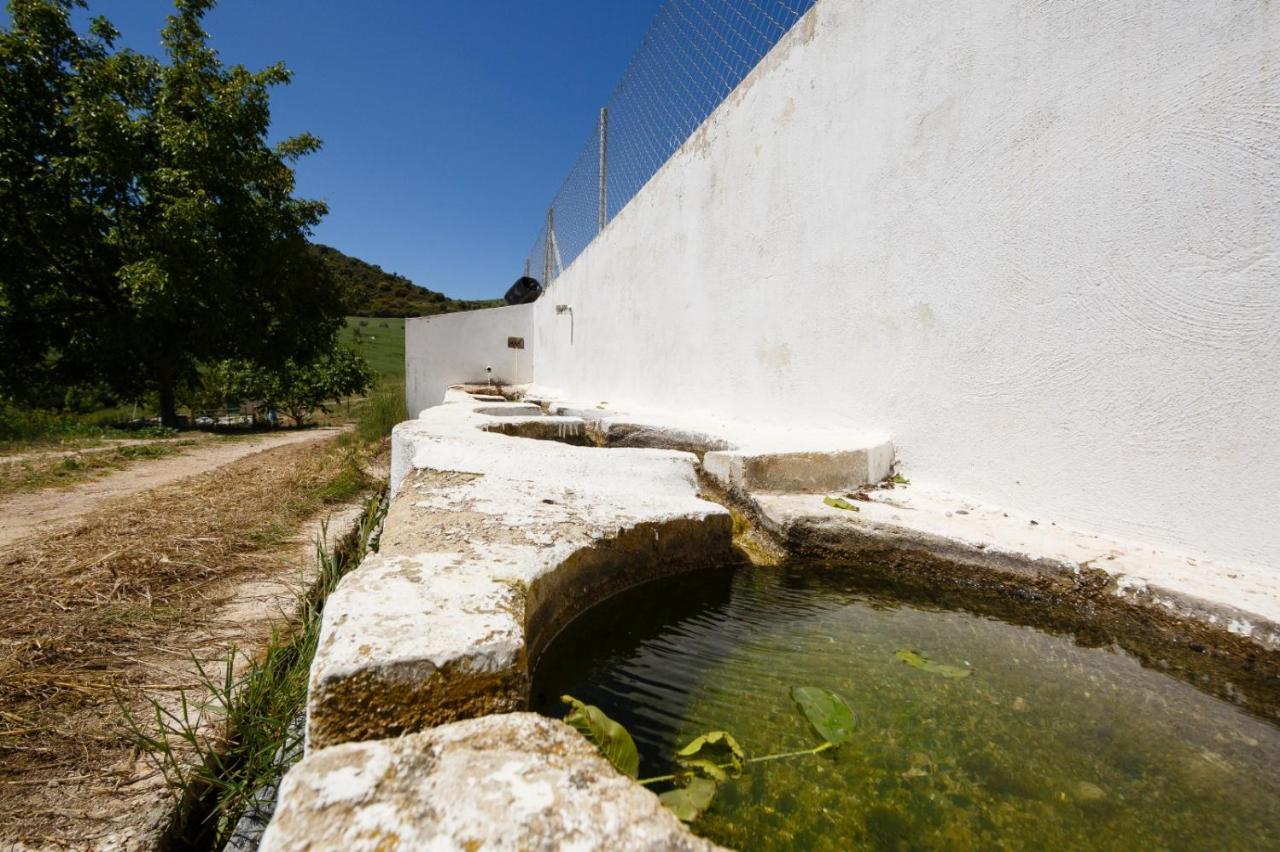Chopo Villa
