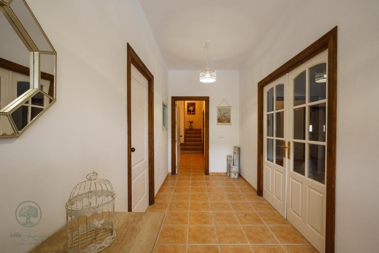 Chopo Villa *