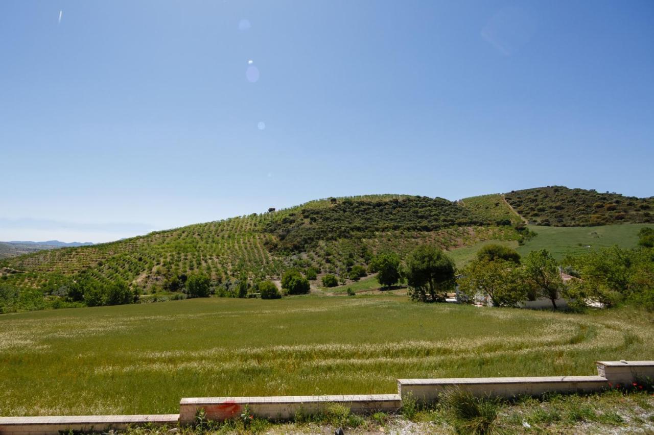 Chopo Villa